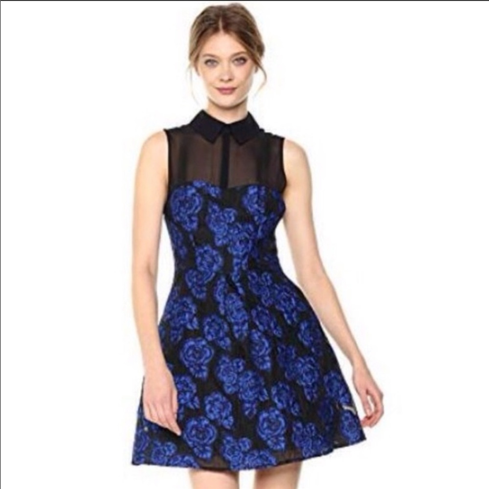 EUC Betsey Johnson Rose Fit and Flare dress - 4